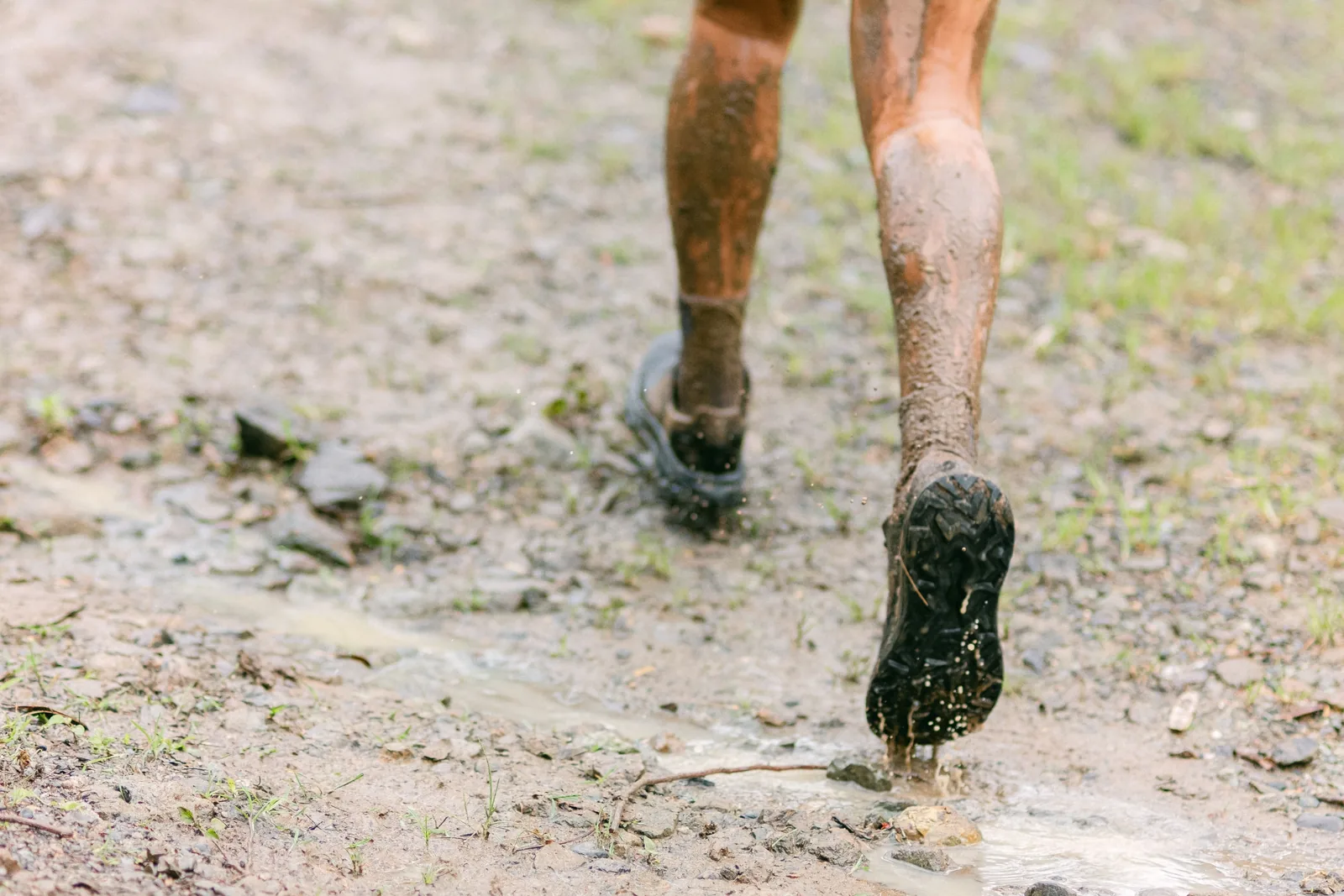 Trail Running là gì? Hướng dẫn chạy trail cho người mới bắt đầu tại Việt Nam