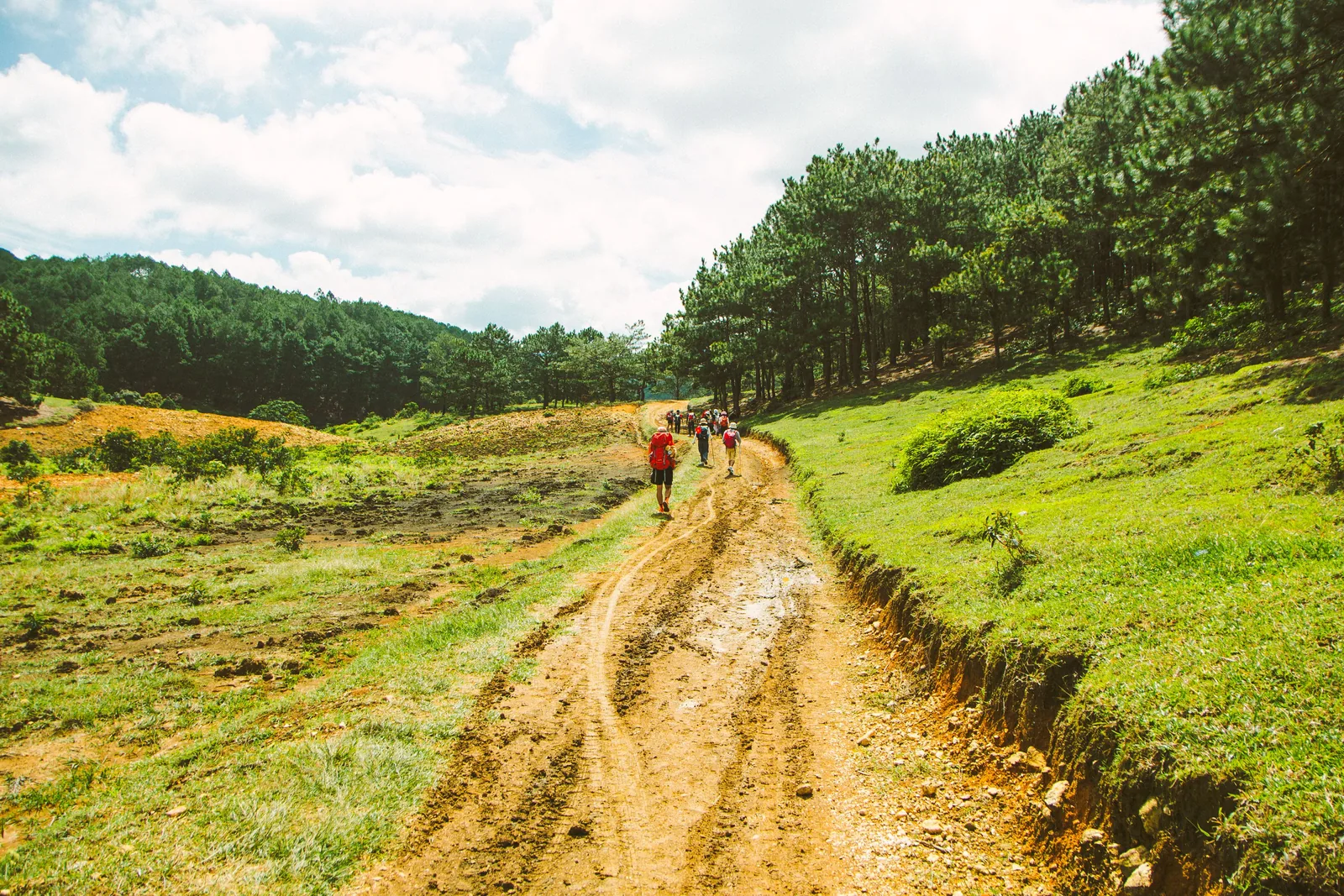 Chạy trail ở đâu gần TP. Hồ Chí Minh? Những cung đường và ngọn núi đáng chạy nhất